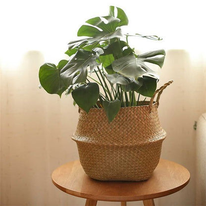 Cache pot en osier | Bohème Naturel - Le Château de la Déco