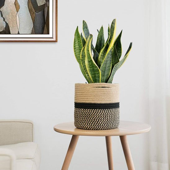 Caches pots | Élégance Naturelle - Le Château de la Déco